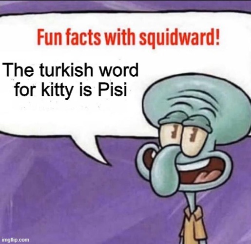 Fun Facts with Squidward | The turkish word for kitty is Pisi | image tagged in fun facts with squidward,memes | made w/ Imgflip meme maker