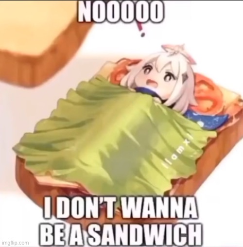 NO I DONT WANNA BE A SANDWICH | image tagged in no i dont wanna be a sandwich | made w/ Imgflip meme maker