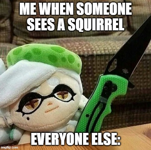 Marie plush with a knife | ME WHEN SOMEONE SEES A SQUIRREL; EVERYONE ELSE: | image tagged in marie plush with a knife | made w/ Imgflip meme maker