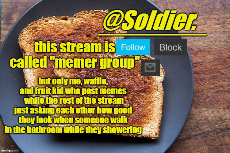 Soldier. Bread Temp | this stream is called "memer group"; but only me, waffle, and fruit kid who post memes
 while the rest of the stream just asking each other how good they look when someone walk in the bathroom while they showering | image tagged in soldier bread temp | made w/ Imgflip meme maker