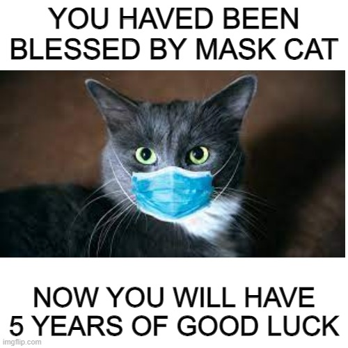 have fun :D | YOU HAVED BEEN BLESSED BY MASK CAT; NOW YOU WILL HAVE 5 YEARS OF GOOD LUCK | image tagged in cat | made w/ Imgflip meme maker