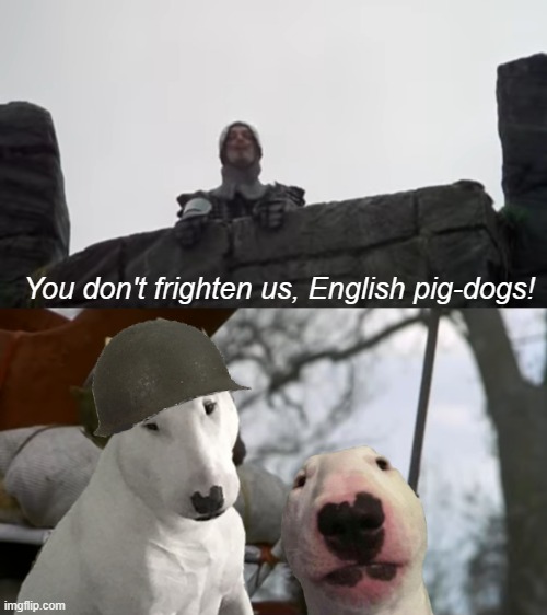 You don't frighten us, English pig-dogs! | You don't frighten us, English pig-dogs! | image tagged in walter,monty python,monty python and the holy grail,dog | made w/ Imgflip meme maker