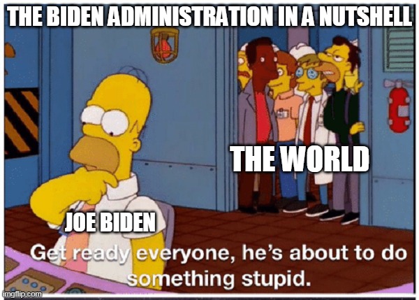 HOMER SIMPSON ABOUT TO DO SOMETHING STUPID | THE BIDEN ADMINISTRATION IN A NUTSHELL; THE WORLD; JOE BIDEN | image tagged in homer simpson about to do something stupid | made w/ Imgflip meme maker