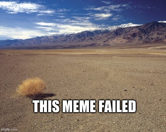 tumble weed | THIS MEME FAILED | image tagged in tumble weed | made w/ Imgflip meme maker