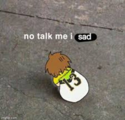 No talk me i sad | image tagged in no talk me i sad | made w/ Imgflip meme maker
