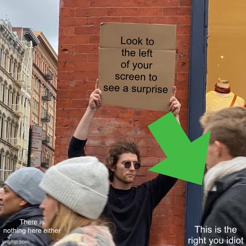 Look to the left of your screen to see a surprise; There is nothing here either; This is the right you idiot | image tagged in memes,guy holding cardboard sign | made w/ Imgflip meme maker
