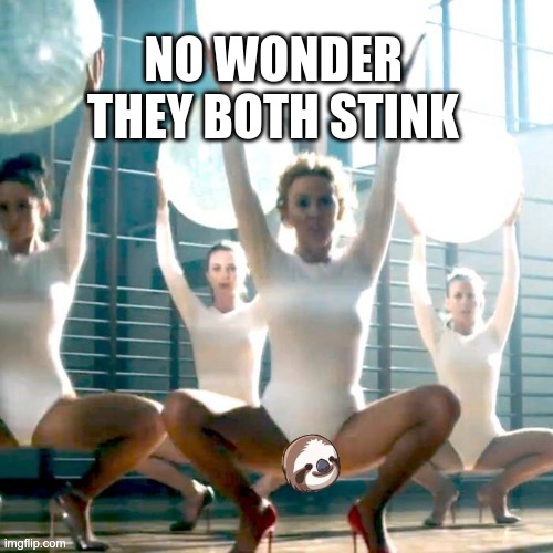 Shave that thing Kylie! | NO WONDER THEY BOTH STINK | image tagged in kylie minogue,sucks | made w/ Imgflip meme maker