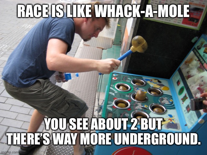 You also can beat them up. | RACE IS LIKE WHACK-A-MOLE; YOU SEE ABOUT 2 BUT THERE’S WAY MORE UNDERGROUND. | image tagged in whack a mole | made w/ Imgflip meme maker