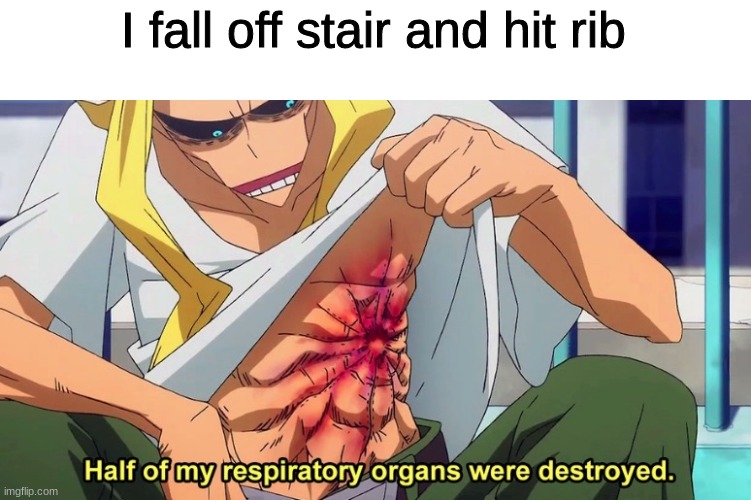 half of my respiratory organs were destroyed | I fall off stair and hit rib | image tagged in half of my respiratory organs were destroyed | made w/ Imgflip meme maker