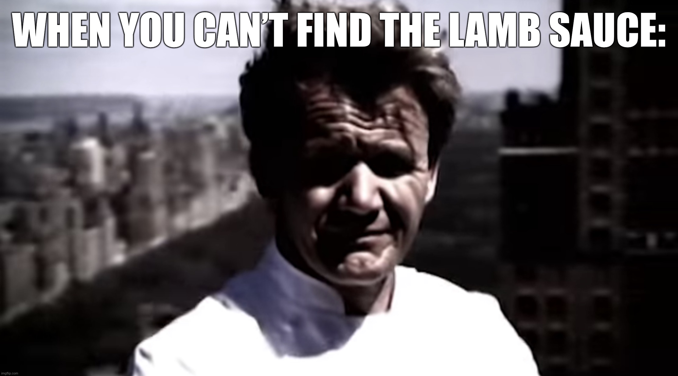 Emotionally destroyed Gordon | WHEN YOU CAN’T FIND THE LAMB SAUCE: | image tagged in emotionally destroyed gordon | made w/ Imgflip meme maker