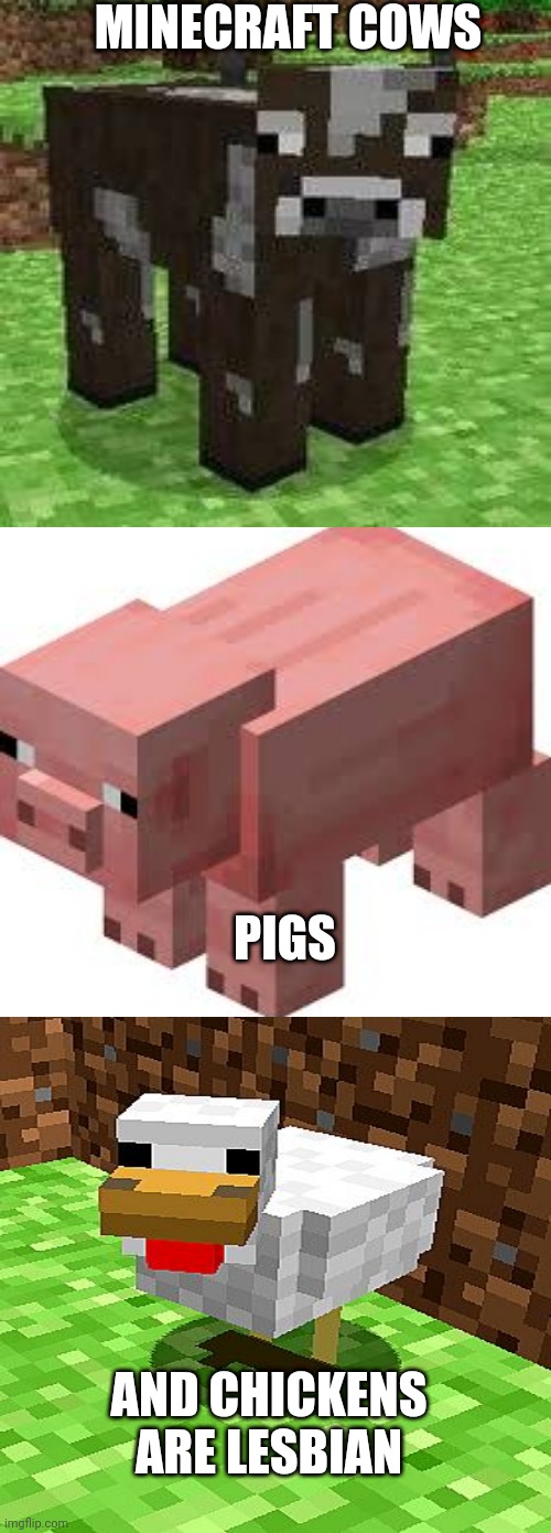 Minecraft pig | MINECRAFT COWS; PIGS; AND CHICKENS ARE LESBIAN | image tagged in minecraft pig | made w/ Imgflip meme maker