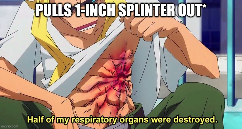 Half of my respiratory organs were destroyed | PULLS 1-INCH SPLINTER OUT* | image tagged in half of my respiratory organs were destroyed | made w/ Imgflip meme maker