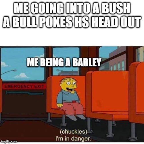 Im in danger | ME GOING INTO A BUSH A BULL POKES HS HEAD OUT; ME BEING A BARLEY | image tagged in i'm in danger | made w/ Imgflip meme maker