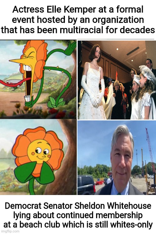liberal hypocrisy - exhibit 311,627 | Actress Elle Kemper at a formal event hosted by an organization that has been multiracial for decades; Democrat Senator Sheldon Whitehouse lying about continued membership at a beach club which is still whites-only | image tagged in cuphead flower,liberal hypocrisy,racism,whitehouse | made w/ Imgflip meme maker