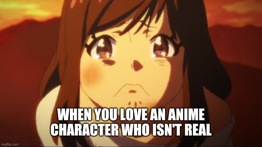 Sad anime face 1 | WHEN YOU LOVE AN ANIME CHARACTER WHO ISN'T REAL | image tagged in sad anime face 1 | made w/ Imgflip meme maker