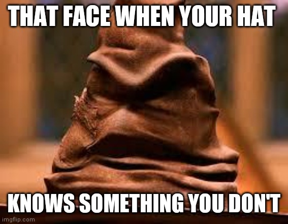 Harry Potter Sorting Hat | THAT FACE WHEN YOUR HAT; KNOWS SOMETHING YOU DON'T | image tagged in harry potter sorting hat | made w/ Imgflip meme maker