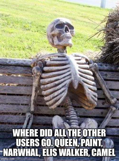 where r they | WHERE DID ALL THE OTHER USERS GO. QUEEN, PAINT, NARWHAL, ELIS WALKER, CAMEL | image tagged in memes,waiting skeleton | made w/ Imgflip meme maker
