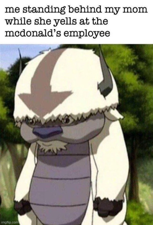 appa is my futer pet | image tagged in oh wow are you actually reading these tags,memes,appa,avatar the last airbender,funny memes,xd | made w/ Imgflip meme maker