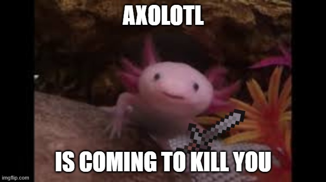 O no | image tagged in axolotl | made w/ Imgflip meme maker