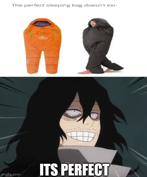 ITS PERFECT | image tagged in my hero academia | made w/ Imgflip meme maker