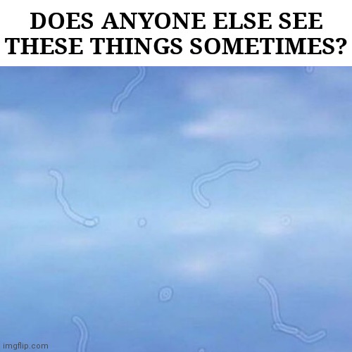 Is it just me? | DOES ANYONE ELSE SEE THESE THINGS SOMETIMES? | image tagged in eyes,funny,memes | made w/ Imgflip meme maker