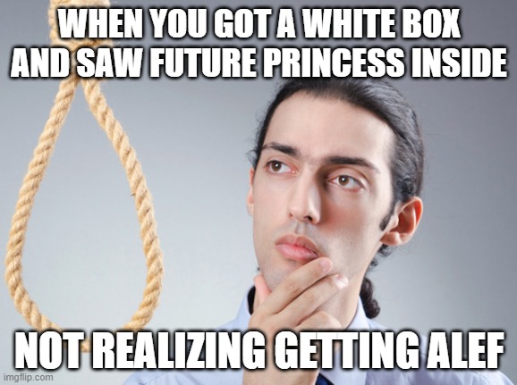 If i got alef,I'll commit suicide | WHEN YOU GOT A WHITE BOX AND SAW FUTURE PRINCESS INSIDE; NOT REALIZING GETTING ALEF | image tagged in noose,guardian tales,suicide | made w/ Imgflip meme maker