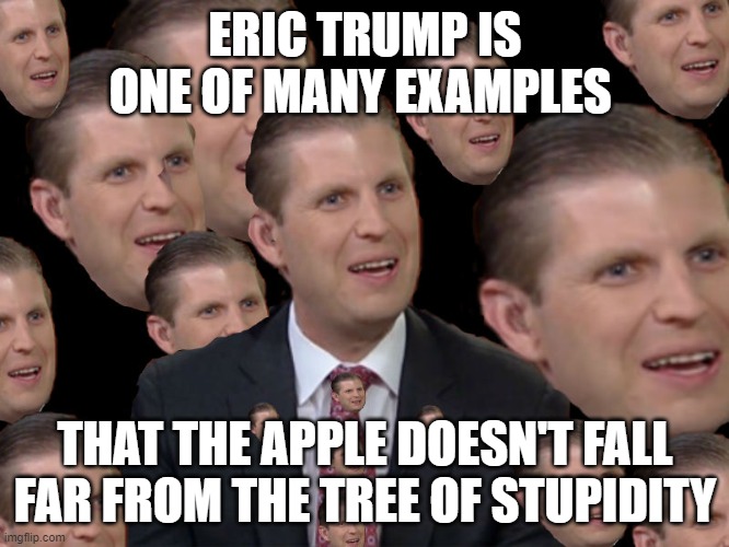 Eric Trump | ERIC TRUMP IS ONE OF MANY EXAMPLES; THAT THE APPLE DOESN'T FALL FAR FROM THE TREE OF STUPIDITY | image tagged in eric trump | made w/ Imgflip meme maker