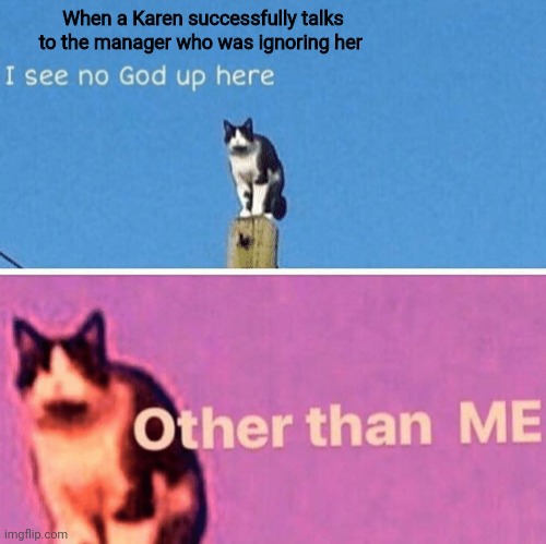 Karens suck | When a Karen successfully talks to the manager who was ignoring her | image tagged in hail pole cat | made w/ Imgflip meme maker