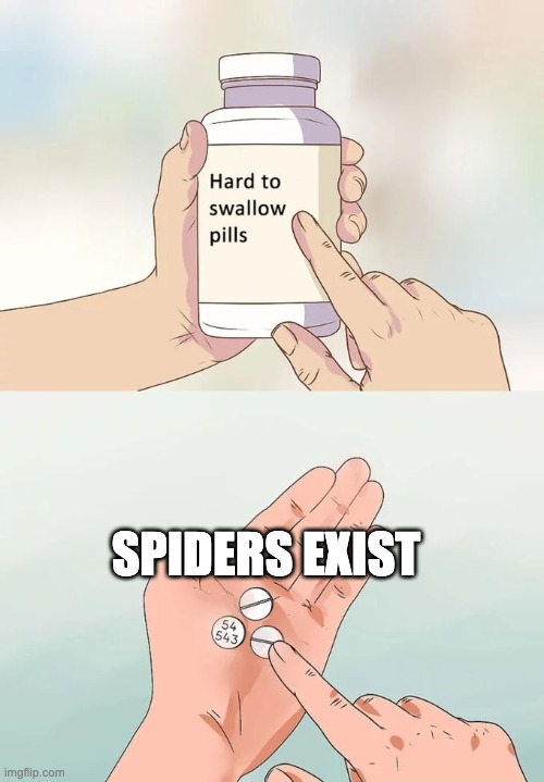 Spiders exist- 0~0 | SPIDERS EXIST | image tagged in memes,hard to swallow pills | made w/ Imgflip meme maker