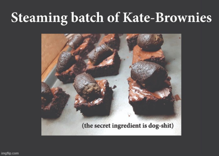 Kate Brown inspired recipe | image tagged in kate brown,kate,brown,brownies,baking,recipe | made w/ Imgflip meme maker