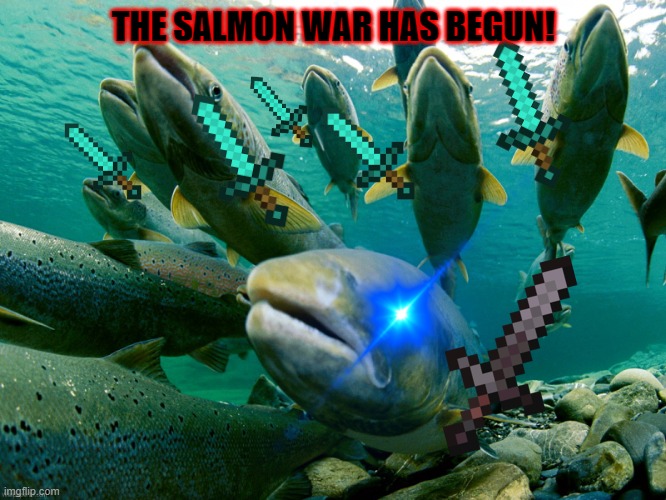 THE SALMON WAR HAS BEGUN! | image tagged in salmon wars | made w/ Imgflip meme maker