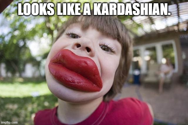 LOOKS LIKE A KARDASHIAN. | image tagged in kardashian | made w/ Imgflip meme maker