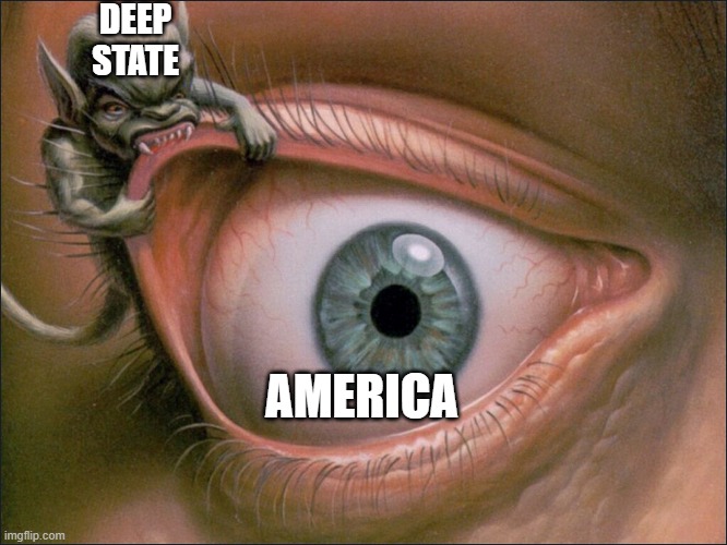 People are gonna wake up eventually to truth.  It is a war against truth being waged. | DEEP STATE; AMERICA | image tagged in politics | made w/ Imgflip meme maker