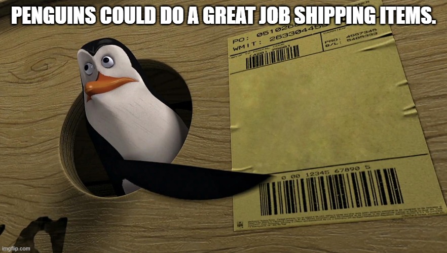 PENGUINS COULD DO A GREAT JOB SHIPPING ITEMS. | image tagged in penguins | made w/ Imgflip meme maker