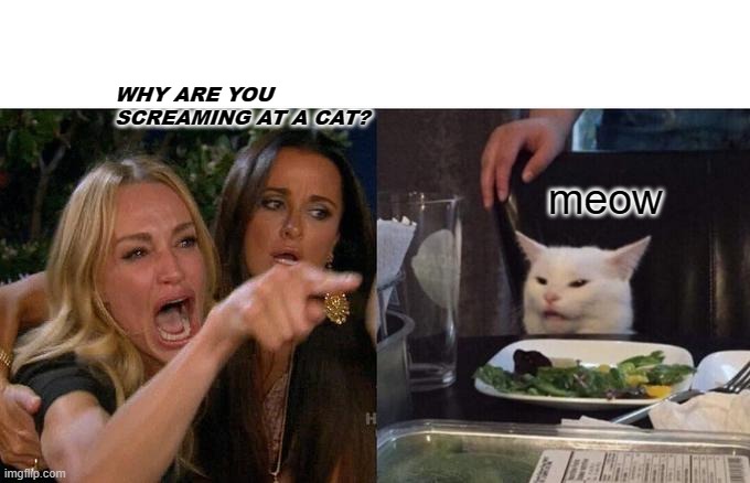 Woman Yelling At Cat Meme | WHY ARE YOU SCREAMING AT A CAT? meow | image tagged in memes,woman yelling at cat | made w/ Imgflip meme maker