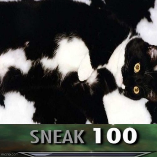 sneak 100 | image tagged in cat,sneak 100,sneak | made w/ Imgflip meme maker
