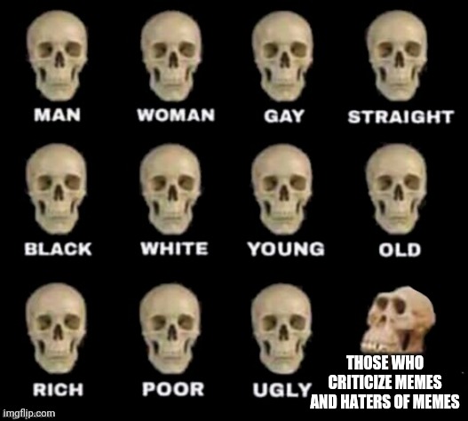 Idiots | THOSE WHO CRITICIZE MEMES AND HATERS OF MEMES | image tagged in idiot skull | made w/ Imgflip meme maker