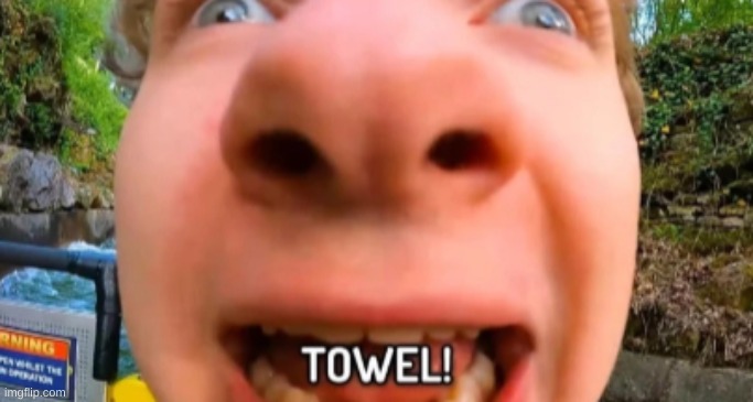 TOWEEEEEL | image tagged in toweeeeel | made w/ Imgflip meme maker