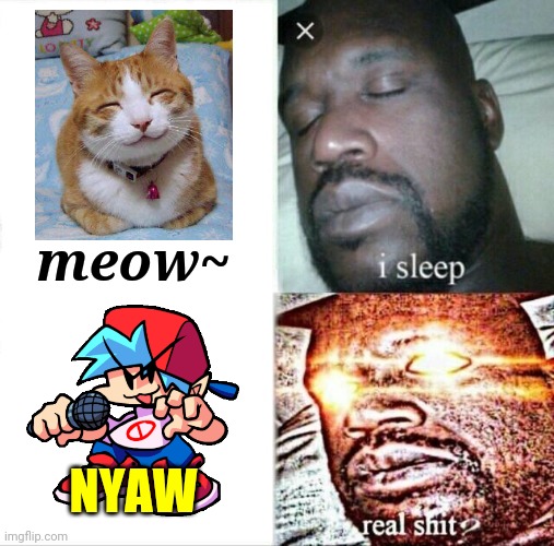 Bruh |  meow~; NYAW | image tagged in memes,sleeping shaq,i sleep real shit,boyfriend,cats,funny | made w/ Imgflip meme maker