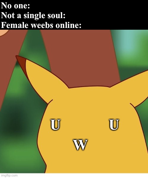 UwU Female Weebs Meme | No one: 
Not a single soul:
Female weebs online:; U             U; W | image tagged in surprised pikachu blank face,weebs,weaboo,memes,anime meme,cringe | made w/ Imgflip meme maker