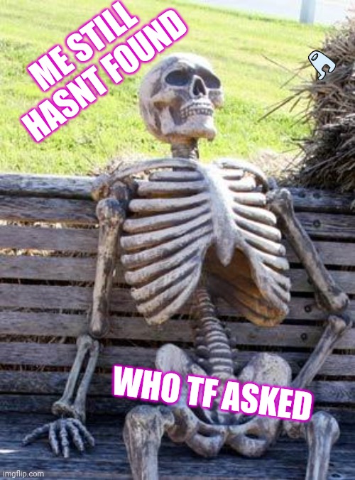 Who TF asked | ME STILL HASNT FOUND; WHO TF ASKED | image tagged in memes,waiting skeleton | made w/ Imgflip meme maker