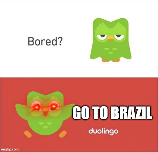 im gonna send this man to brazil | GO TO BRAZIL | image tagged in duolingo bored,lol,haha,spanish or vanish,your going to brazil | made w/ Imgflip meme maker