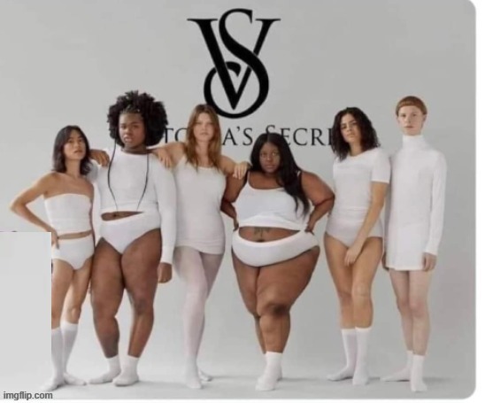 Can some one tell me why the white women are skinny here? Looks racist/micro-aggressive to me! | image tagged in microaggression | made w/ Imgflip meme maker