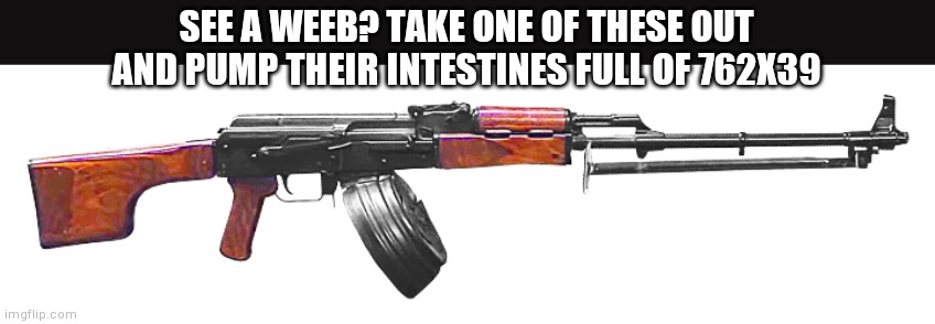 Death to weebs and death to anime | SEE A WEEB? TAKE ONE OF THESE OUT AND PUMP THEIR INTESTINES FULL OF 762X39 | image tagged in rpk | made w/ Imgflip meme maker