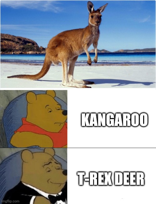 KANGAROO; T-REX DEER | image tagged in memes,tuxedo winnie the pooh | made w/ Imgflip meme maker