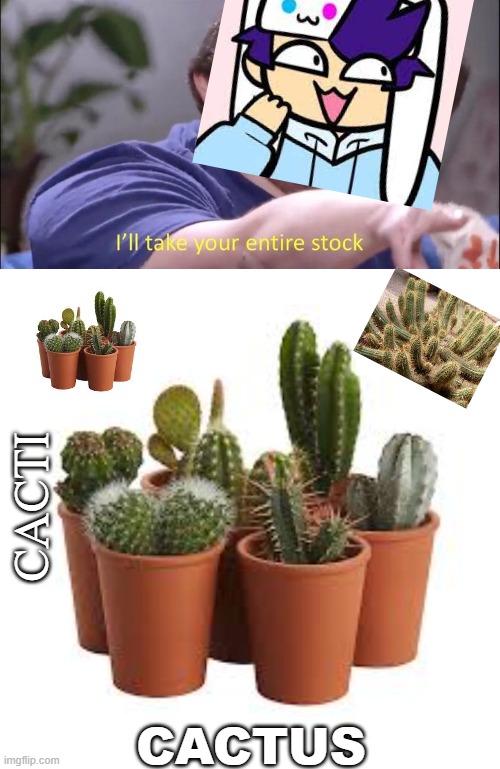 iLl tAkE yOuR eNtIrE sToCk | CACTI; CACTUS | image tagged in i'll take your entire stock,sonadrawzstuff,cacti,cactus | made w/ Imgflip meme maker