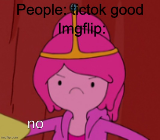 Tictok sucks | Imgflip:; People: tictok good; no | image tagged in princess bubblegum no,annoyed | made w/ Imgflip meme maker