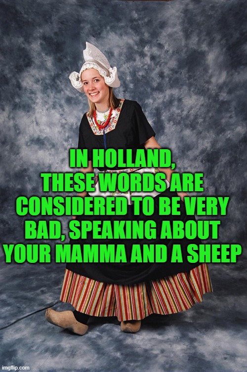 Dutch girl | IN HOLLAND, THESE WORDS ARE CONSIDERED TO BE VERY BAD, SPEAKING ABOUT YOUR MAMMA AND A SHEEP | image tagged in dutch girl | made w/ Imgflip meme maker