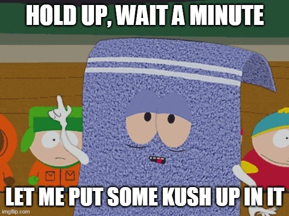 Towelie |  HOLD UP, WAIT A MINUTE; LET ME PUT SOME KUSH UP IN IT | image tagged in towelie,kush,dr dre | made w/ Imgflip meme maker