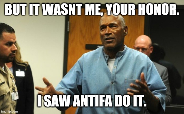 Simpson plead | BUT IT WASNT ME, YOUR HONOR. I SAW ANTIFA DO IT. | image tagged in simpson plead | made w/ Imgflip meme maker
